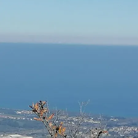 Gerace